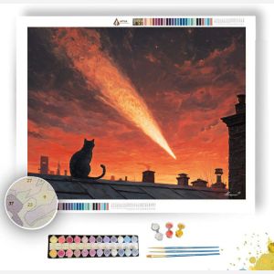 CAT AND COMET - Paint by Numbers Full Kit