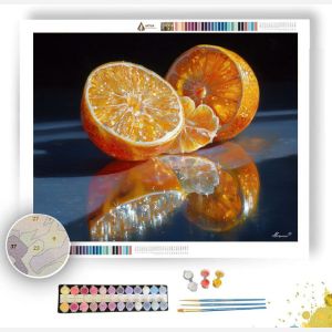FRUIT SKIN UNIVERSE - Paint by Numbers Full Kit