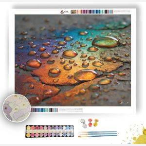 RAINLIGHT ON STONE - Paint by Numbers Full Kit