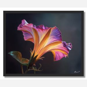 PETAL CURVE SHADOW - FRAMED