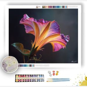 PETAL CURVE SHADOW - Paint by Numbers Full Kit