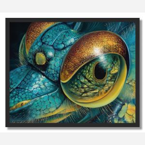 INSECT REFLECTION - FRAMED