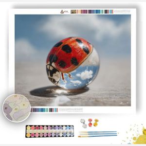 LADYBUG WORLD - Paint by Numbers Full Kit