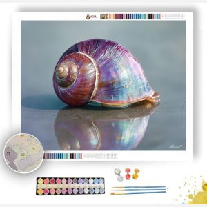 RAINBOW SHELL - Paint by Numbers Full Kit