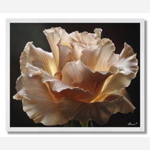 PETAL EDGE LIGHT - FRAMED