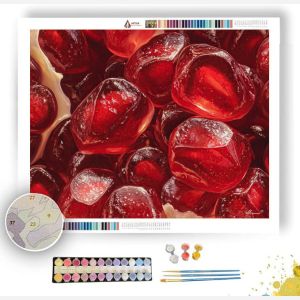 RUBY FRUIT GLOW - Paint by Numbers Full Kit