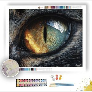 EYE OF THE CAT - Paint by Numbers Full Kit