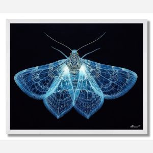LUMINESCENT MOTH - FRAMED