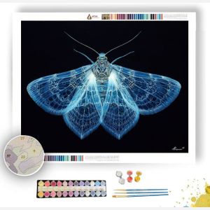 LUMINESCENT MOTH - Paint by Numbers Full Kit