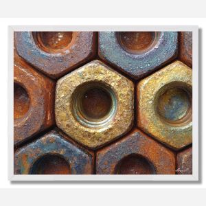 METAL NUT DETAIL - FRAMED