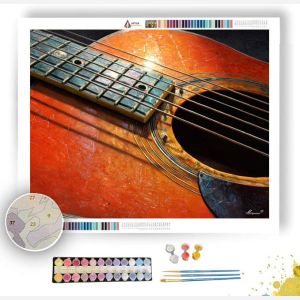 GUITAR PICK DETAIL - Paint by Numbers Full Kit