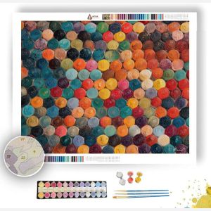 PRINTED DOT FIELD - Paint by Numbers Full Kit