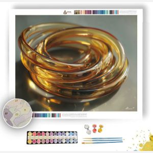 WIRE COIL MACRO - Paint by Numbers Full Kit