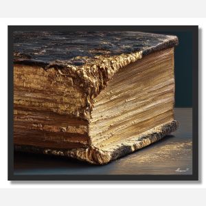 BOOK EDGE DETAIL - FRAMED