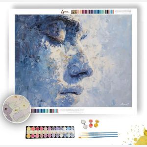 SILVER DREAMER - Paint by Numbers Full Kit