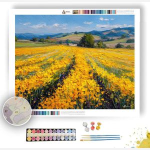 SUNFIELD - Paint by Numbers Full Kit