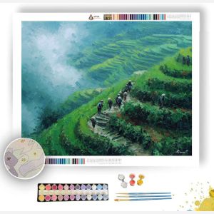 CHINESE RICE TERRACES - Paint by Numbers Full Kit
