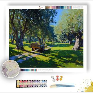 SPANISH OLIVE GROVE - Paint by Numbers Full Kit