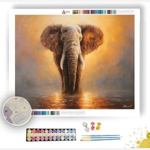 ELEPHANT SILENCE - Paint by Numbers Full Kit