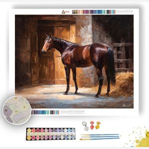 GROOMING AT STABLE - Paint by Numbers Full Kit