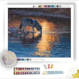 RIVER REFLECTION WOLF - Paint by Numbers Full Kit