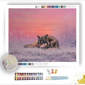 WINTER MEADOW SILENCE - Paint by Numbers Full Kit