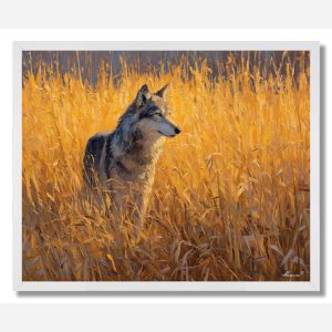 GOLDEN PRAIRIE WATCHER - FRAMED