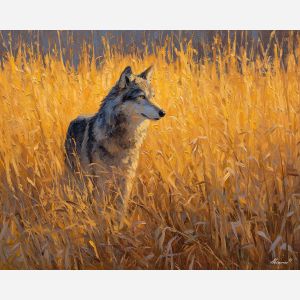 GOLDEN PRAIRIE WATCHER