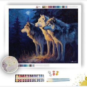 SHADOWFANG PACK - Paint by Numbers Full Kit