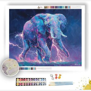 ELECTRIC SKY ELEPHANT - Paint by Numbers Full Kit