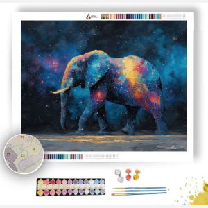 COSMIC WANDERER - Paint by Numbers Full Kit