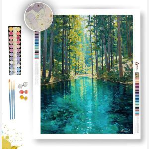 FOREST CLEARWATER POOL - Paint by Numbers Full Kit