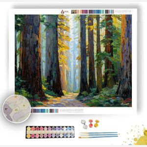 QUIET REDWOOD PASS - Paint by Numbers Full Kit
