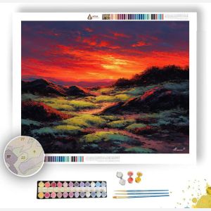 SUNSET ON MOSS VALLEY - Paint by Numbers Full Kit