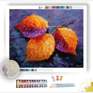 AUTUMN AFTER-RAIN GLOW - Paint by Numbers Full Kit