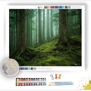 FOREST OF EMERALD FOG - Paint by Numbers Full Kit