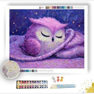 KAWAII OWL SLEEPING WITH BLANKET - Paint by Numbers Full Kit