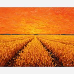 Midwest cornfield, golden sunrise farm, open fields USA, agricultural landscape, warm morning glow, orange sky farmland, rural America, tall corn rows, palette-knife field, glowing crops, farm sunrise light, country horizon USA, Midwest scenery, amber farm colors, pastoral sunrise, expansive farmland, rural sunrise painting, open plains America, morning cornfield, golden agriculture