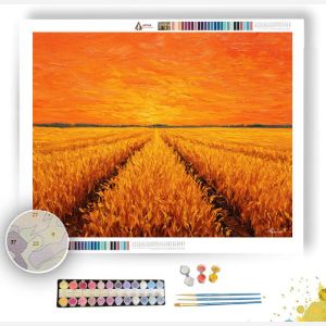 GOLDEN CORNFIELD MIDWEST SUNRISE - Paint by Numbers Full Kit