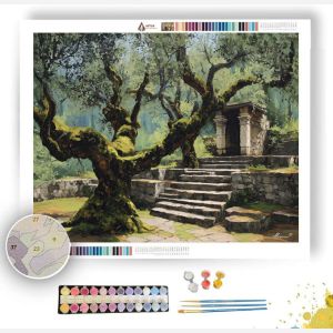 OLIVE TREE SANCTUARY - Paint by Numbers Full Kit