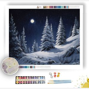 SILENT SNOWFALL - Paint by Numbers Full Kit