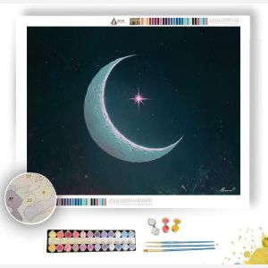 MINT MOON - Paint by Numbers Full Kit