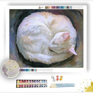 DOODLE CAT NAP - Paint by Numbers Full Kit
