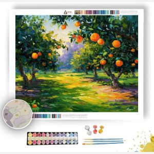 ORANGE GROVE MORNINGS - Paint by Numbers Full Kit