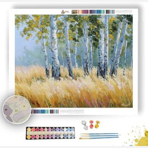 BIRCH TREES OF SILVER MORNING - Paint by Numbers Full Kit