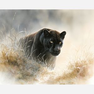 a, luminous, panther, in, a, natural, setting, painted, soft washes, pastel hues, natural flow, gentle gradients, atmospheric depth, textural blending, organic motion, diffused light, fine pigments, layered tones