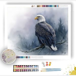 STORMY EAGLE - Paint by Numbers Full Kit