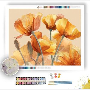 AMBER POPPY - Paint by Numbers Full Kit