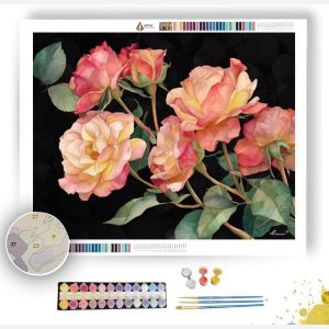 EVENING ROSE - Paint by Numbers Full Kit