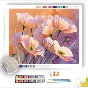 PASTEL POPPY - Paint by Numbers Full Kit